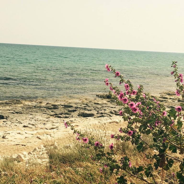 Residence Casa Del Mar Sicilia Marina di Modica Zewnętrze zdjęcie